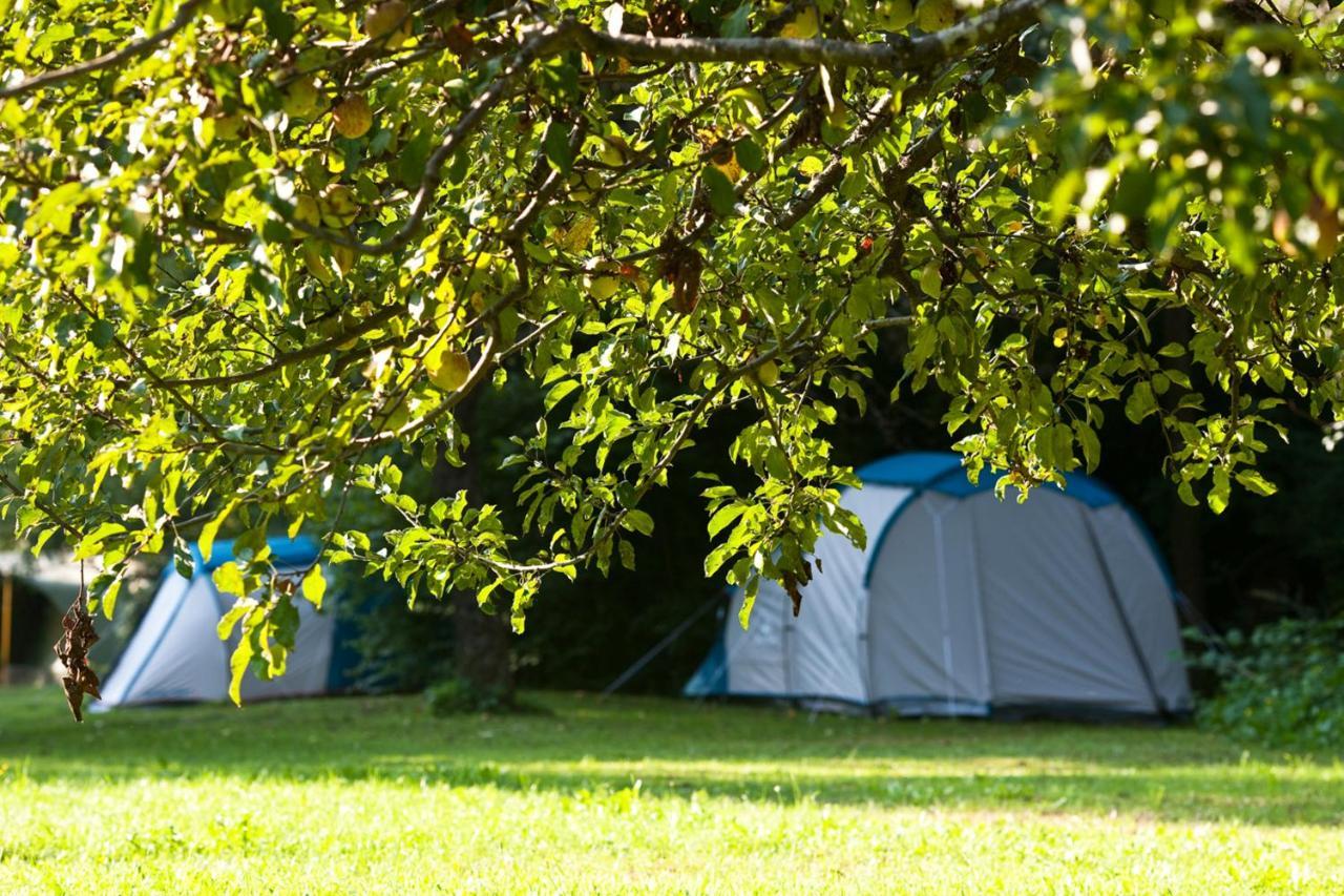 Camping Naturplac Na Skali Ljubno Esterno foto