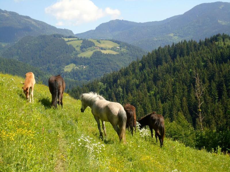 Camping Naturplac Na Skali Ljubno Esterno foto