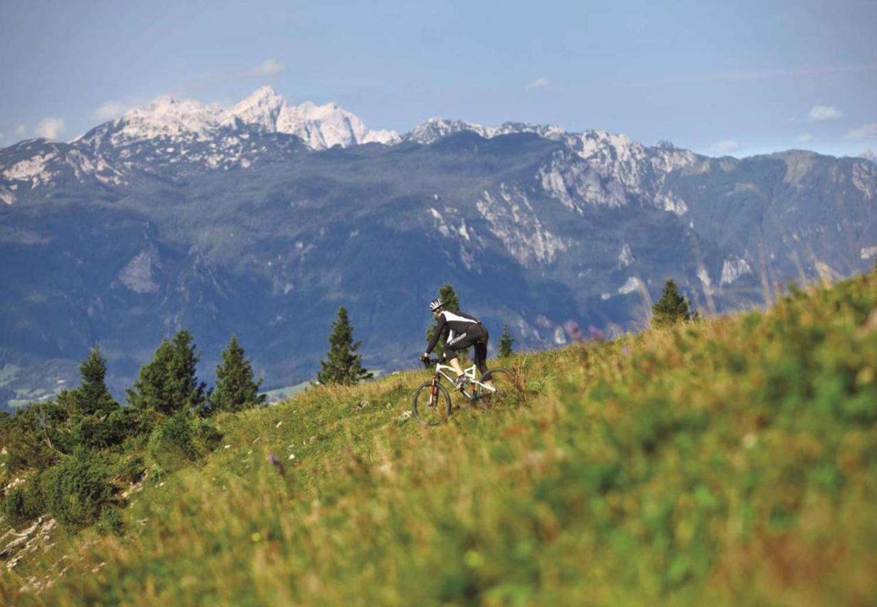 Camping Naturplac Na Skali Ljubno Esterno foto