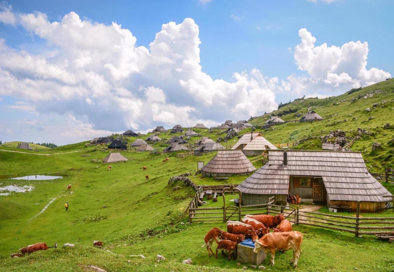 Camping Naturplac Na Skali Ljubno Esterno foto