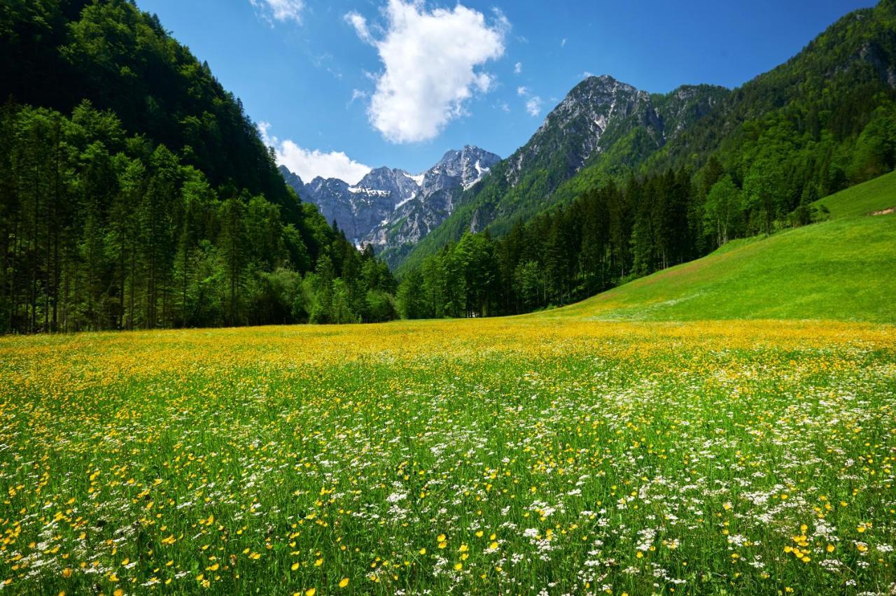 Camping Naturplac Na Skali Ljubno Esterno foto